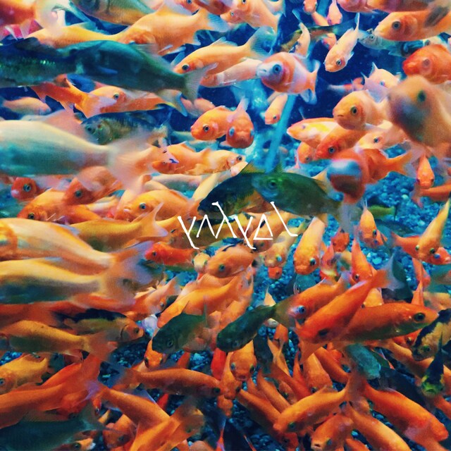 yahyel「Fool＋Midnight run」ジャケット