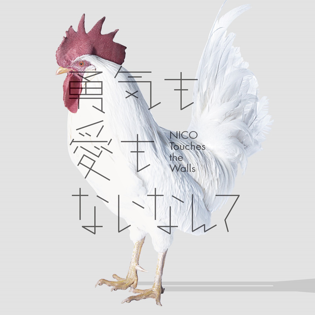 NICO Touches the Walls「勇気も愛もないなんて」通常盤ジャケット