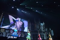 チームしゃちほこ