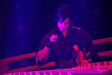 いぶくろ聖志（箏）（写真提供：エイベックス・ミュージック・クリエイティヴ）