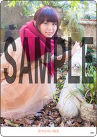 井口裕香「変わらない強さ」初回限定盤封入のトレーディングカード。