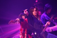和楽器バンド「大新年会2016 日本武道館 -暁ノ宴-」の様子。（写真提供：エイベックス・ミュージック・クリエイティヴ）