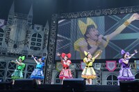 チームしゃちほこ