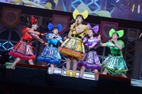 チームしゃちほこ