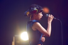 千葉はな（羊毛とおはな）