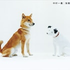 中村一義のビクター移籍作は「海賊盤」、ジャケで愛犬&ニッパー共演