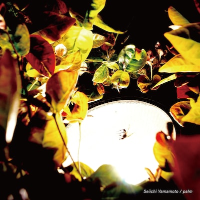 山本精一「palm」ジャケット