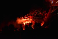 「モンスターハンター・ザ・リアル 2」に登場するリオレウス。