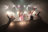 ゴールデンボンバー（撮影：新保勇樹）