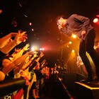 夜の本気ダンス、満員の渋谷クアトロワンマンで「全員を家に持って帰りたい!」