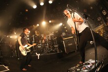 BUZZ THE BEARS「Q TOUR 2015-2016」東京・渋谷CLUB QUATTRO公演の様子。（撮影：桝田哲也）