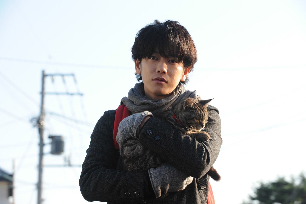 「世界から猫が消えたなら」ビジュアル （C）2016 映画「世界から猫が消えたなら」製作委員会
