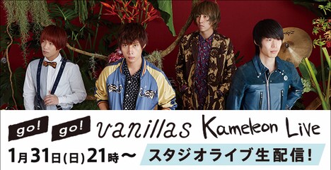 go!go!vanillas「Kameleon Live」告知用画像