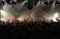 「Wienners presents みずいろときいろ TOUR」東京・LIQUIDROOM公演の様子。（撮影：藤井拓）