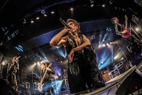 NOCTURNAL BLOODLUST（Photo by Shumpei Kato）