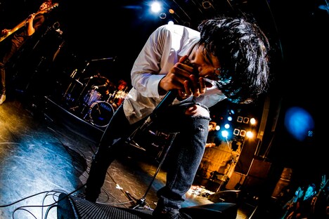 石崎ひゅーい（撮影：上飯坂一）