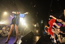 女王蜂（撮影：釘野孝宏）