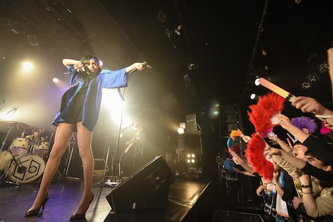 女王蜂（撮影：釘野孝宏）