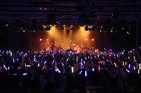 女王蜂（撮影：釘野孝宏）