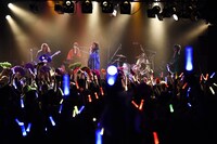 女王蜂（撮影：釘野孝宏）