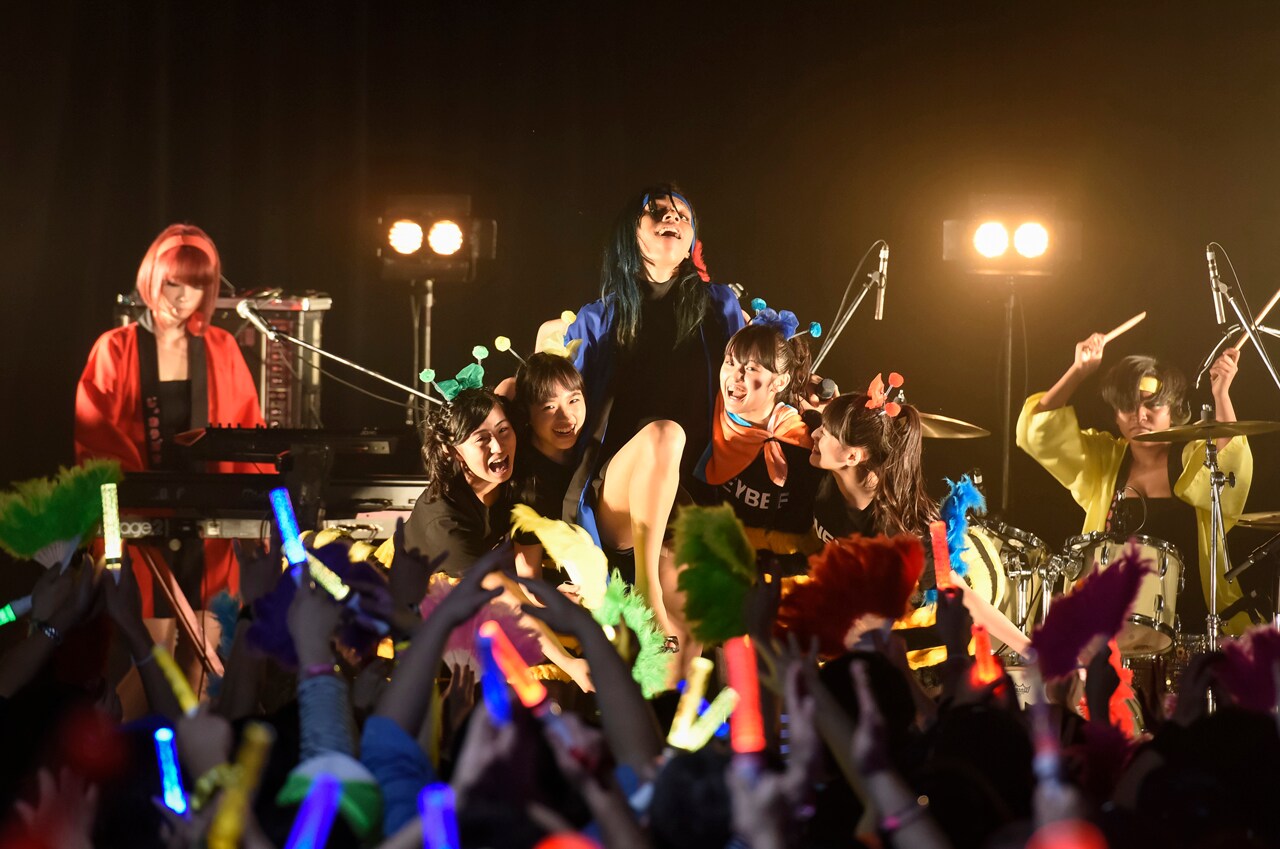 女王蜂が初めてのヲタ活!?しゃちほこと2度目の共演「次はしゃちはちモーニング」