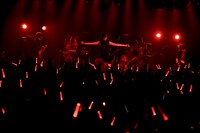 女王蜂（撮影：釘野孝宏）