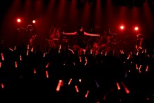 女王蜂（撮影：釘野孝宏）