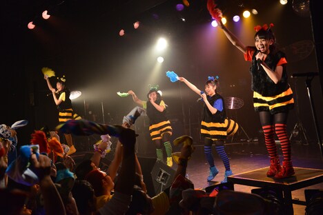 チームしゃちほこ