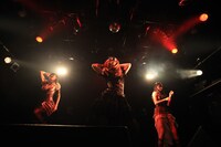 Cream n' Chrome（写真提供：ラインズアート）