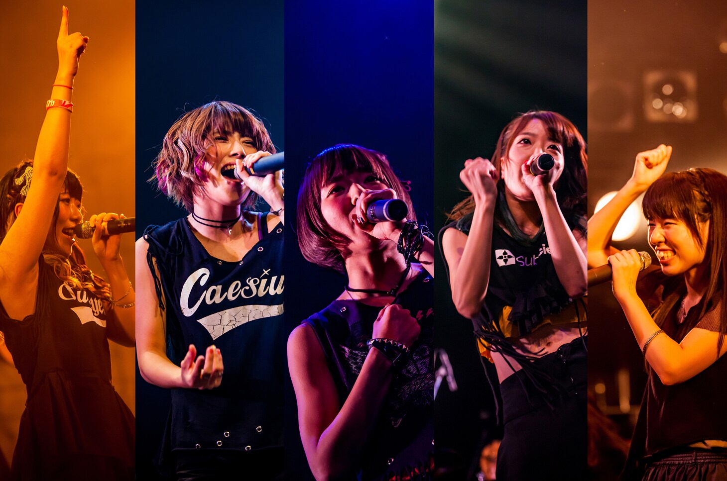 tsubasafly_art201602.jpg?