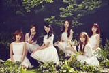 Apink