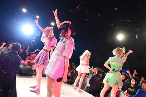 ぜんぶ君のせいだ。によるライブの様子。