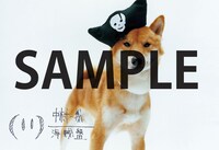 ニューアルバム「海賊盤」をタワーレコードで購入すると先着で配布されるポストカード。