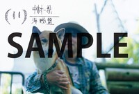 ライブDVD「金字塔完成記念日～エドガワQ 2015～」をタワーレコードで購入すると先着で配布されるポストカード。