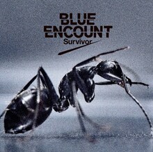BLUE ENCOUNT「Survivor」通常盤ジャケット
