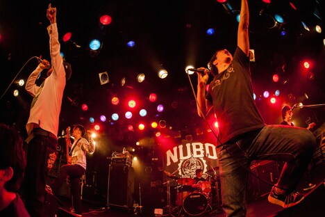 「NUBO "bonfire" TOUR 2015-2016 ファイナルシリーズ」東京・渋谷CLUB QUATTRO公演の様子。（Photo by HayachiN）