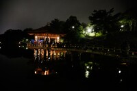 「SEED」劇中音楽レコーディングが行われた奈良・奈良公園浮見堂。（Photo by LESLIE KEE）
