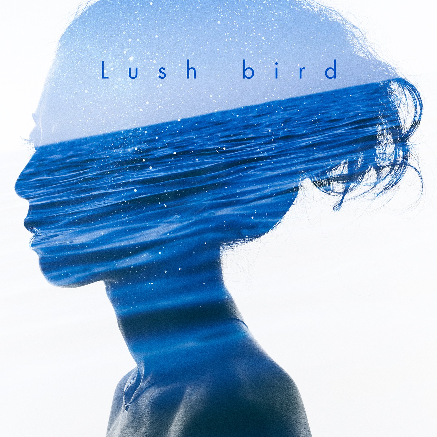 bird「Lush」ジャケット