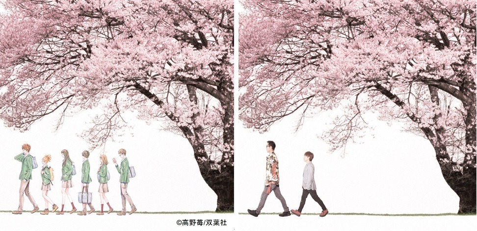 コブクロ「未来 Spring Package」ジャケット (c)高野苺/双葉社