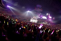 人気画像7位は「ももクロドームツアー名古屋で開幕、有安の初ソロライブ発表も」より、「MOMOIRO CLOVER Z DOME TREK 2016“AMARANTHUS / 白金の夜明け”」2月20日の名古屋ドーム公演の様子。（Photo by HAJIME KAMIIISAKA）