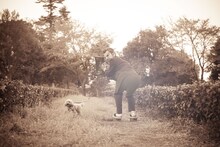 映画「珍遊記」のワンシーン。(c)漫☆画太郎 / 集英社・「珍遊記」製作委員会