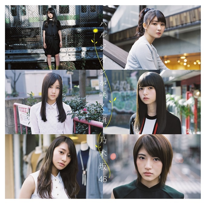 乃木坂46「ハルジオンが咲く頃」Type-Dジャケット