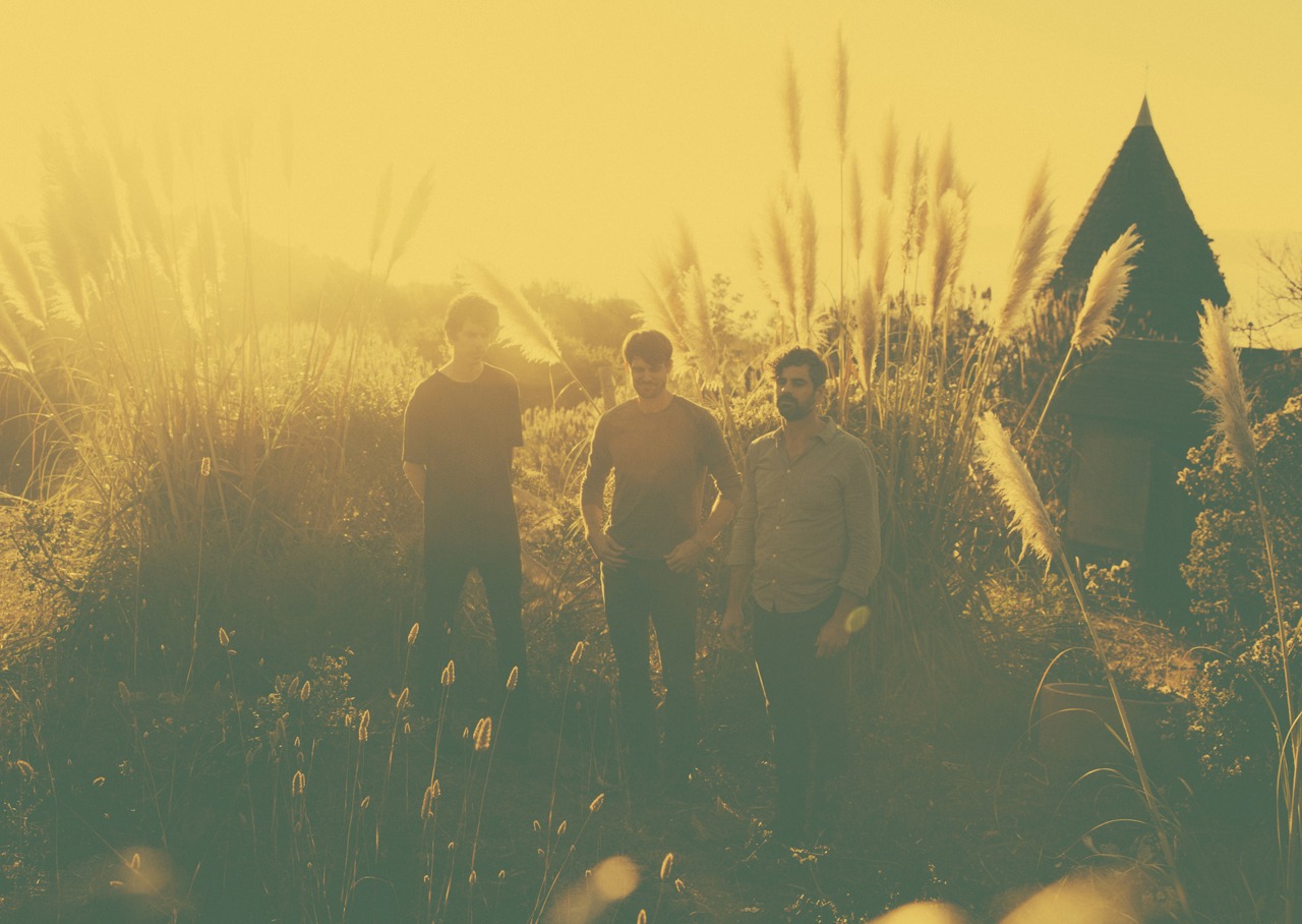 Tycho