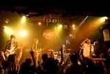 The Flickersのライブの様子。(Photo by MASANORI FUJIKAWA)
