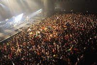 MONGOL800（Photo by Yuji“本田本”Honda）