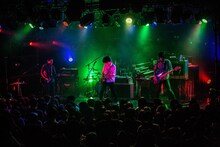 GRAPEVINE（撮影：日吉純平）