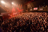 フレデリック（撮影：古渓一道）