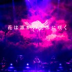 amazarashi、DVD/BD記念弾き語りライブを全国映画館で生中継