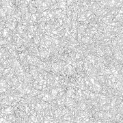 TRANSPARENTZ×坂田明「全面照射」ジャケット