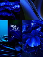 浜崎容子「Blue Forest」イメージ